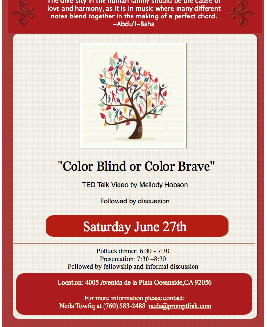 Color Blind or Color Brave